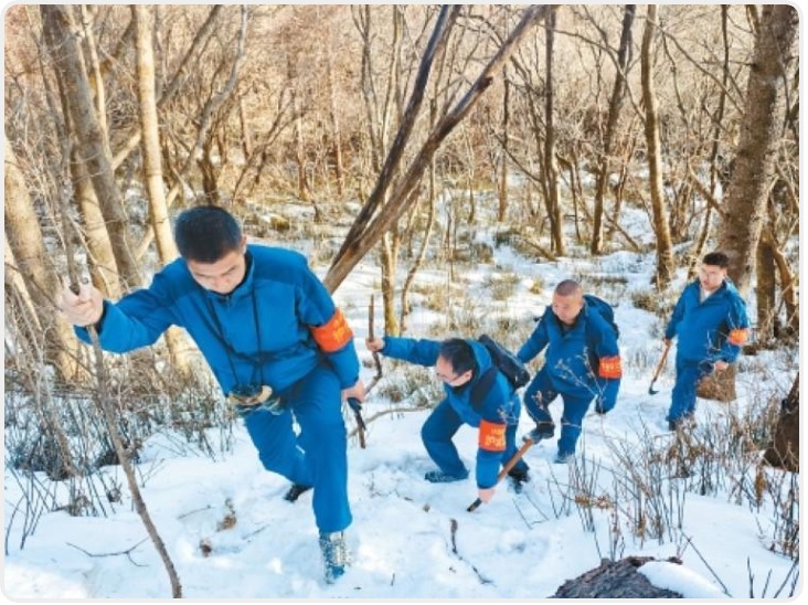 秦岭深处的“守林人”——踏雪而行 只为这片青山常绿