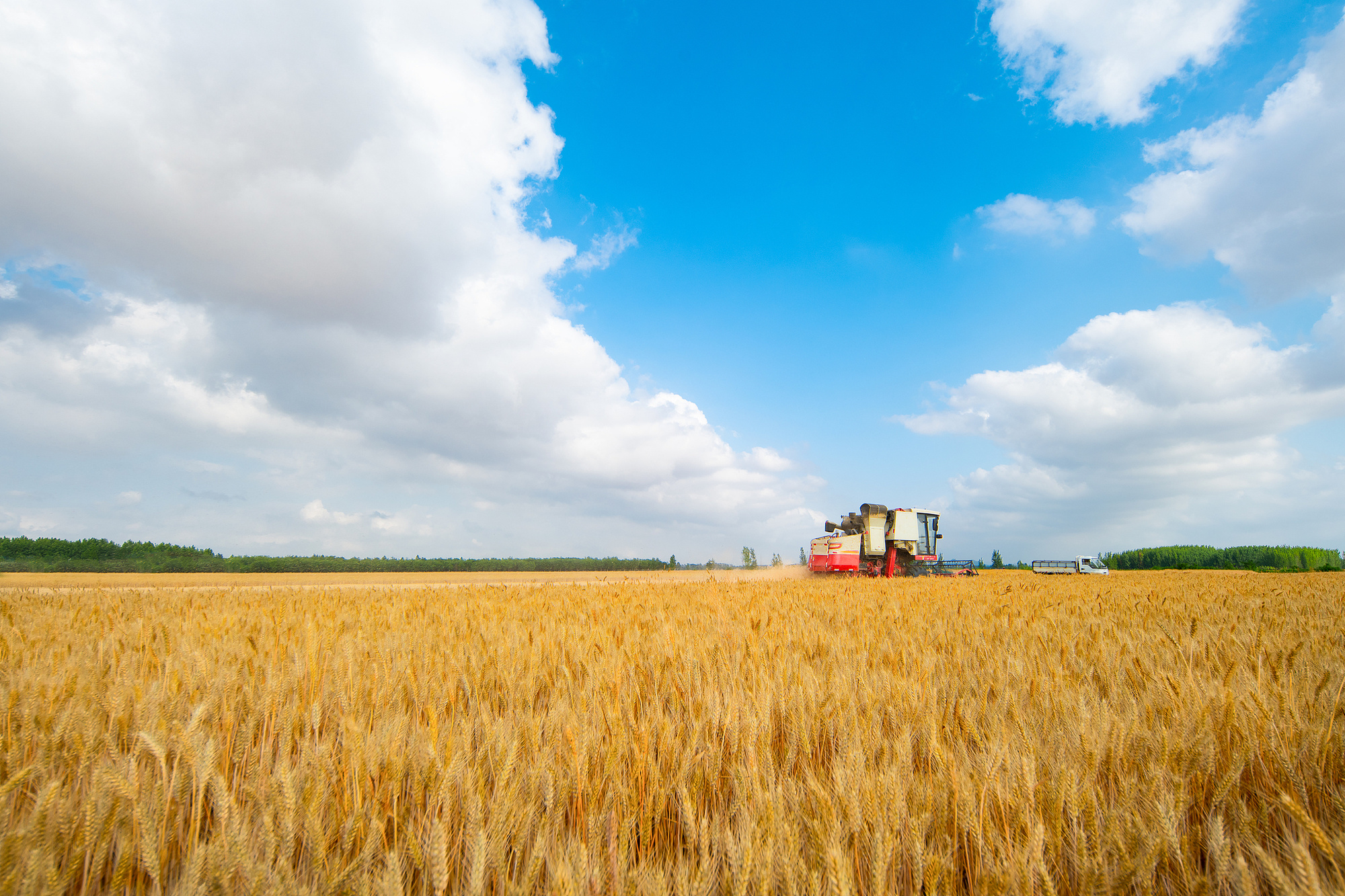 行稳致远开新局创新综合指标再跃升白山松水如何抢占发展新“吉”遇？(图9)