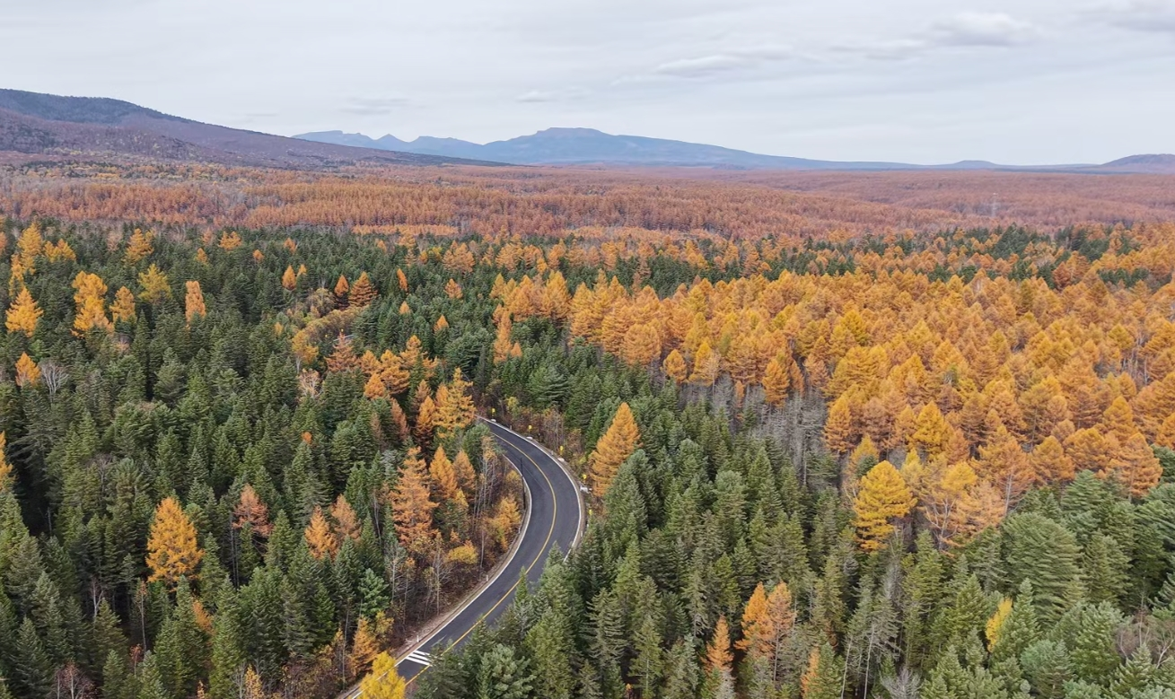 行稳致远开新局创新综合指标再跃升白山松水如何抢占发展新“吉”遇？(图4)