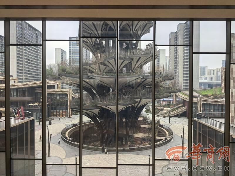 IMG_20260224_132048.jpg IMG_20260224_132048.jpg