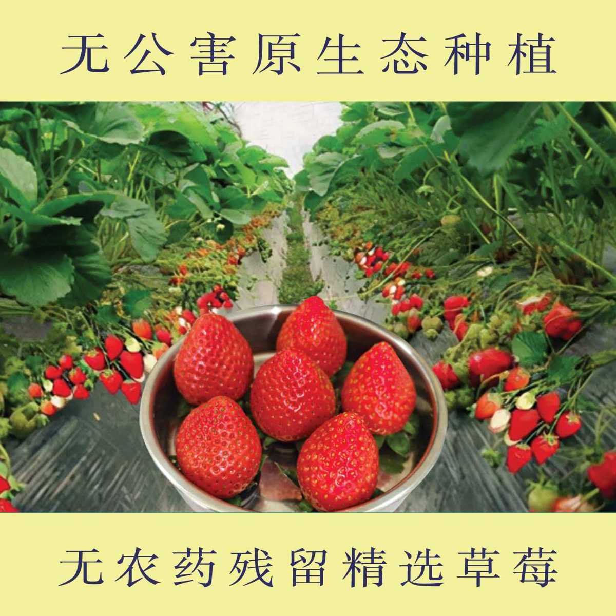 166e5b8a5a74fa4cd6449bceb863a0f2.jpg