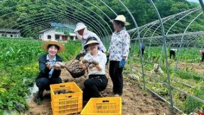 接续奋进“十五五” 实干笃行启新程