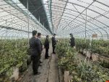 笃行实干促振兴 汉水潮涌启新程