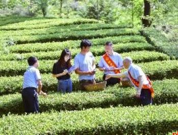 接续奋进“十五五” 实干笃行启新程