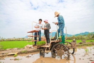 接续奋进“十五五” 实干笃行启新程