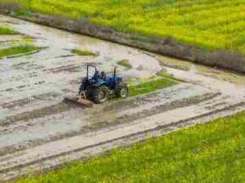 新闻分析：新一轮雨雪天气开启 对春耕春播影响几何？