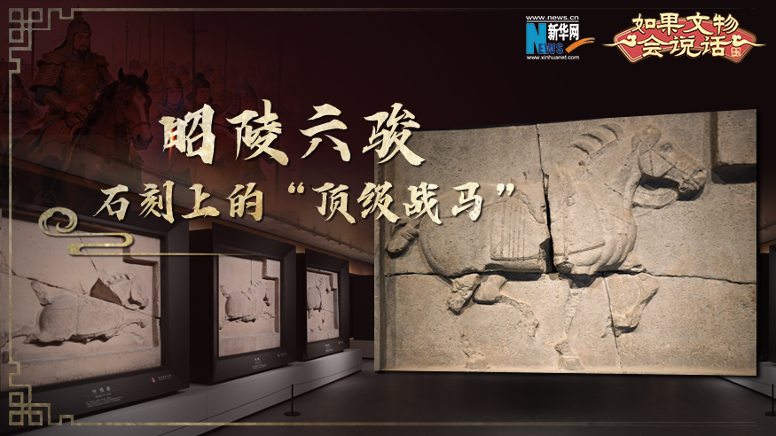 如果文物会说话丨昭陵六骏：石刻上的“顶级战马”