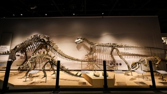 “中国恐龙大展”闭幕 展出9个月累计接待观众223万人次