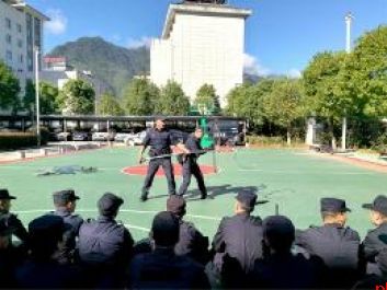 岚皋公安2025年十大亮点工作纪实