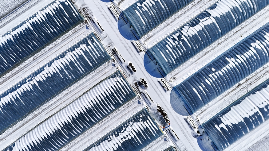 全国产粮第一大省黑龙江进入“备耕时间”