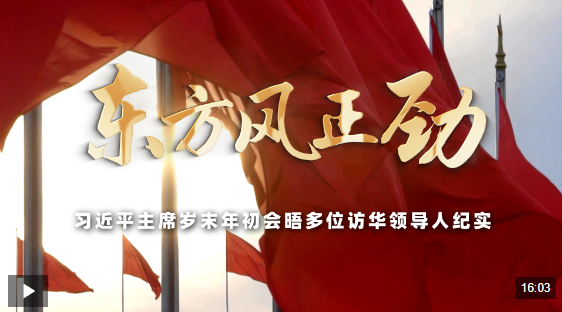 ygpRjqdedSyF31D0.png ScreenShot_2026-03-02_132951_633.png