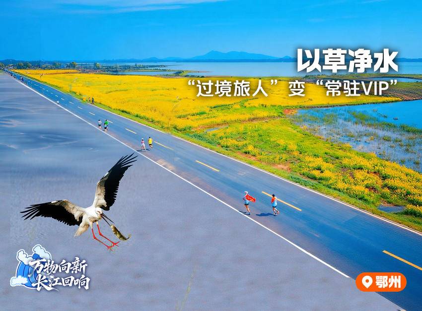 万物向新长江回响(图5)