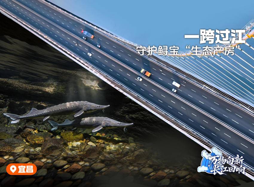 万物向新长江回响(图1)