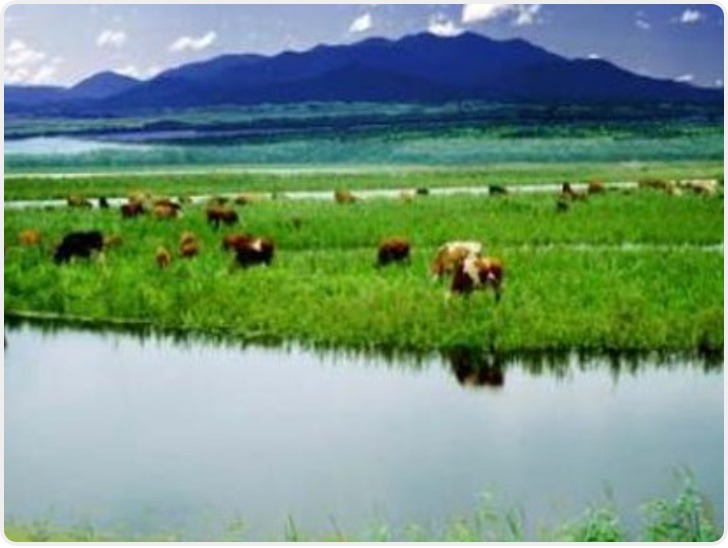 3月这些新规陆续施行