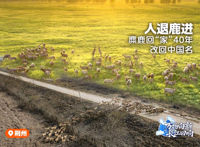 万物向新长江回响(图2)