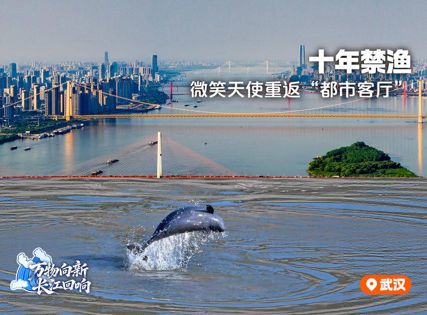 万物向新长江回响(图4)