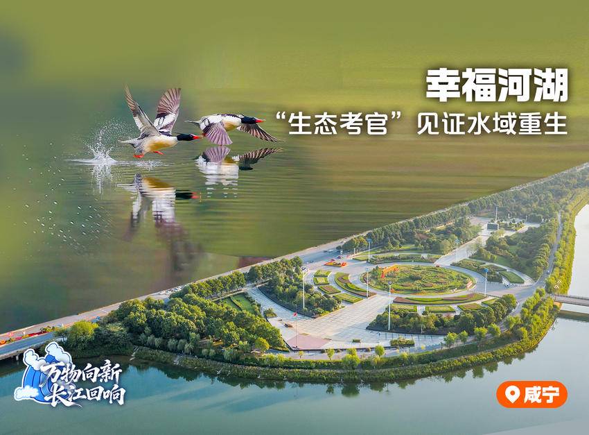 万物向新长江回响(图3)