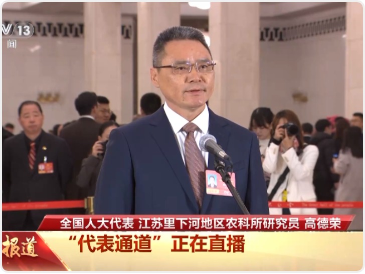 代表通道丨高德荣：让小麦学会“抢时间” 让种粮人有奔头