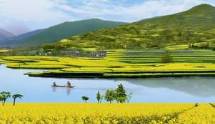 2026最美油菜花海汉中旅游文化节 3月18日启动