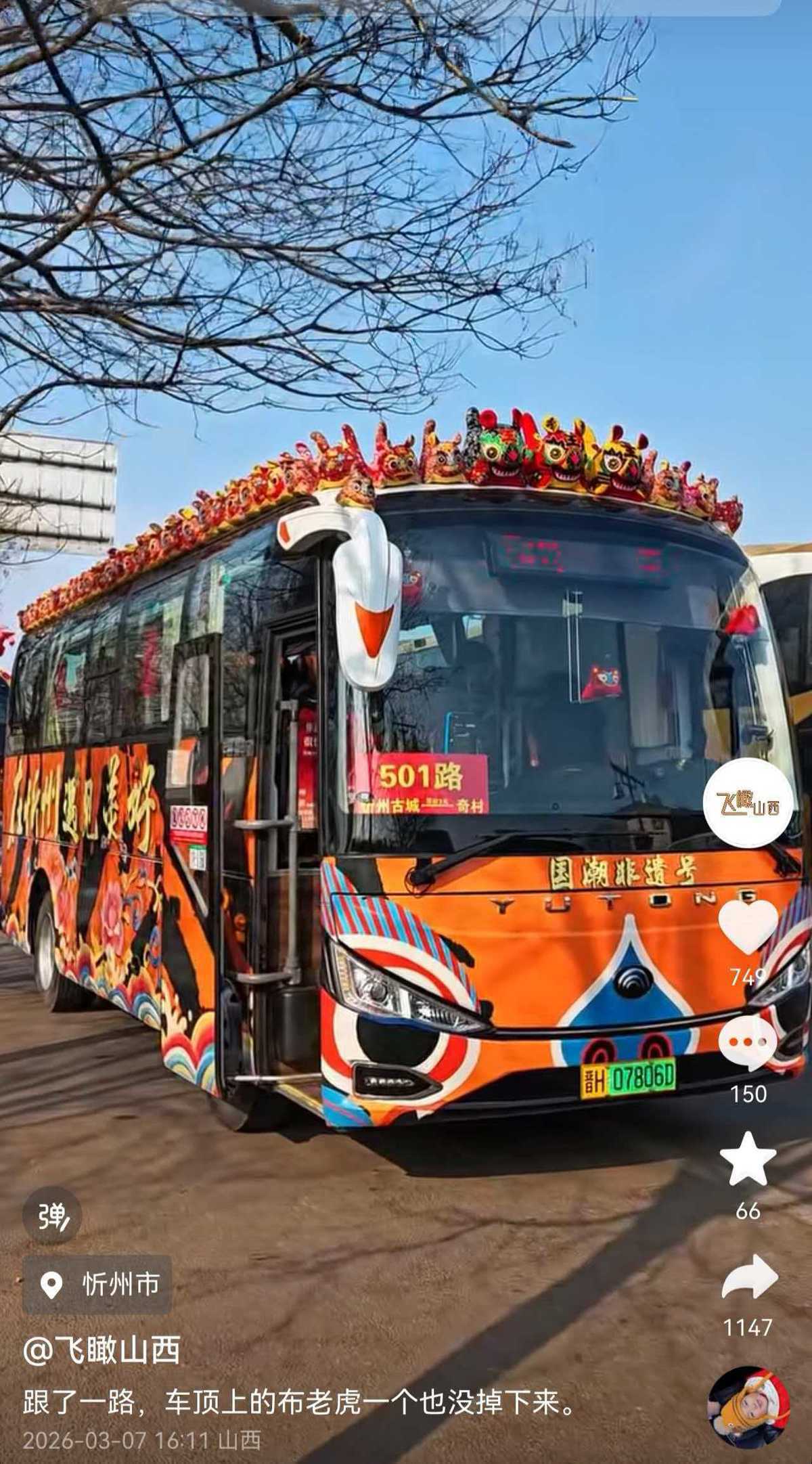 110只布老虎“盘踞”公交车顶萌化了 游客称想抠一个带回家