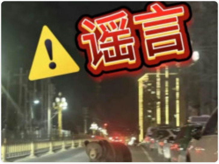 街头熊出没？青海同仁市：图片系AI生成 已传唤俩当事人