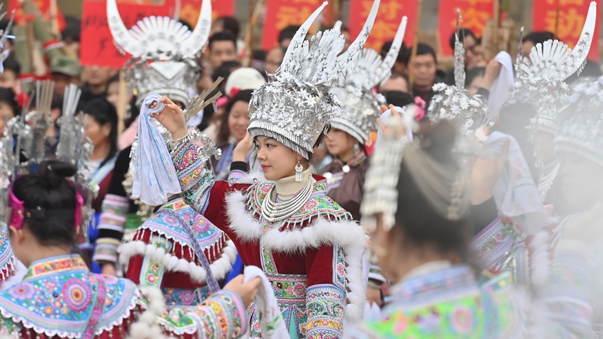 可爱的乡村——春满坡会