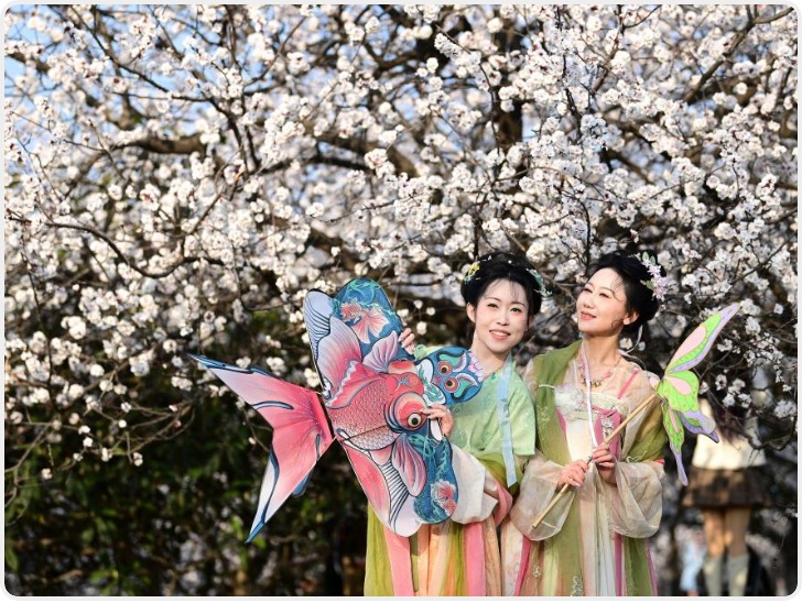 长安春日繁花开