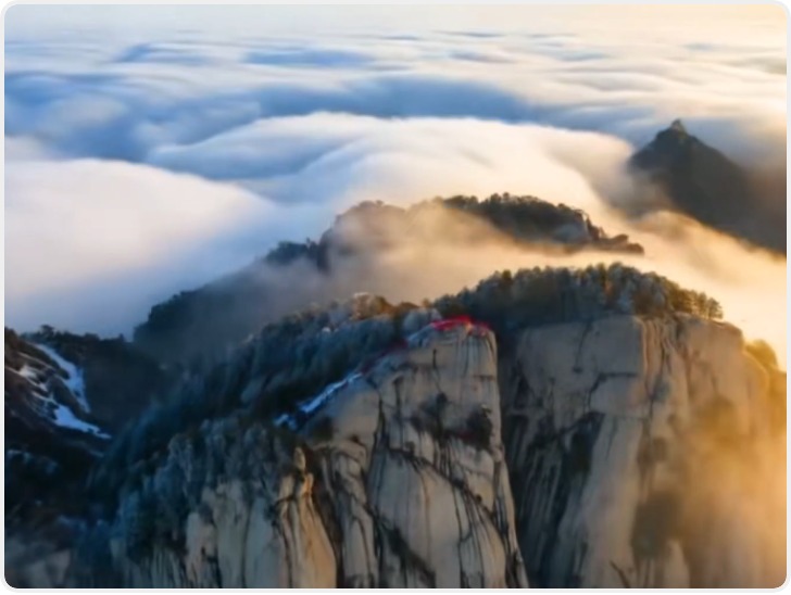 春日华山：云海翻涌 花开满园