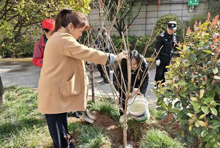 108坊故事|互助社区开展集中植树活动
