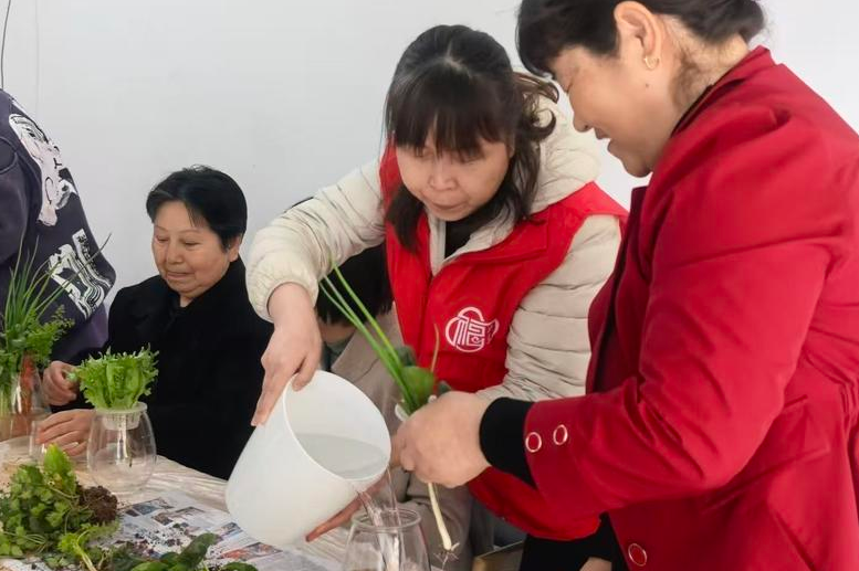 108坊故事|这个植树节 府北社区居民把废旧瓶子改造成“小菜园”