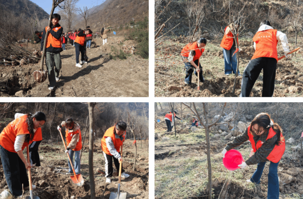 FVXWUK2V46YGJxFv.png image.png