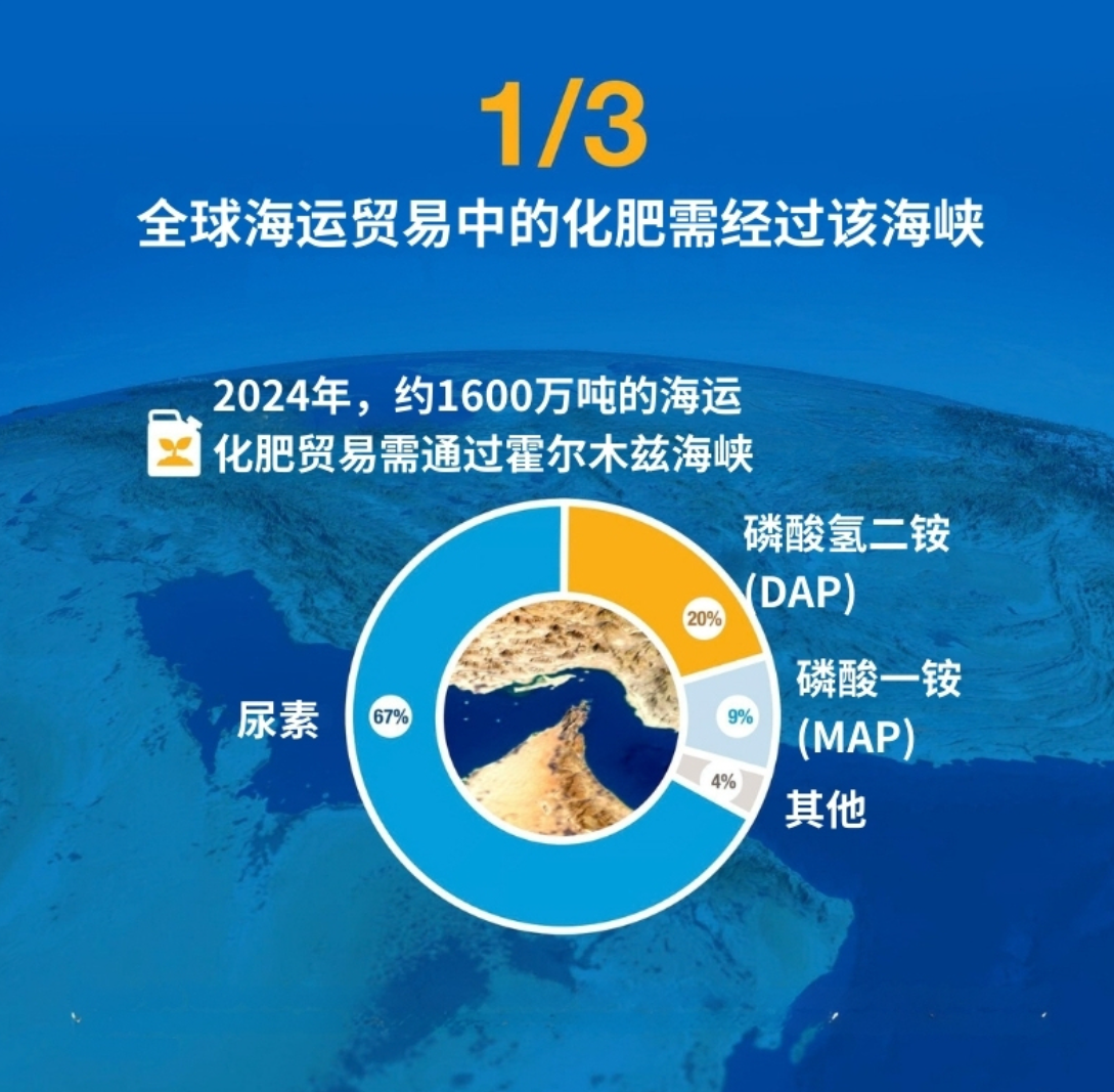 从能源到餐桌：霍尔木兹海峡的石油风暴会引发粮食危机吗？