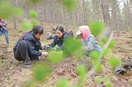 2025陕西完成造林种草259.11万亩 治理沙化土地93.5万亩