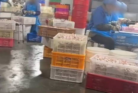 315晚会曝光漂白鸡爪 网红鸡爪生产车间环境脏乱不堪