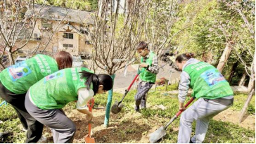 S31GLmJ4tHHdYWro.png image.png