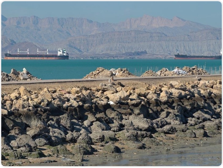 多国表示不参与霍尔木兹海峡护航 特朗普抱怨盟友“不帮忙”