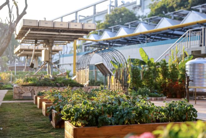 苹果宣布Apple在华供应商创下节水新纪录