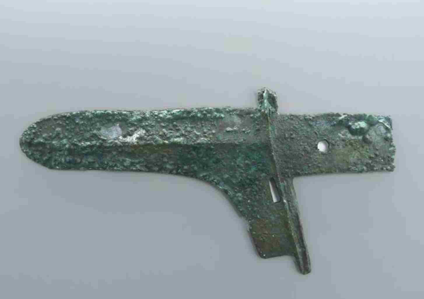 泾阳蒋刘遗址发现人头骨杯 内外侧残留磨制使用痕迹