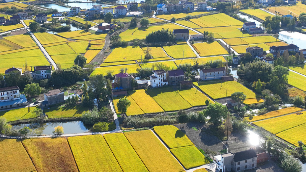 再延长30年！我国全面开展农村承包地二轮到期延包整省试点