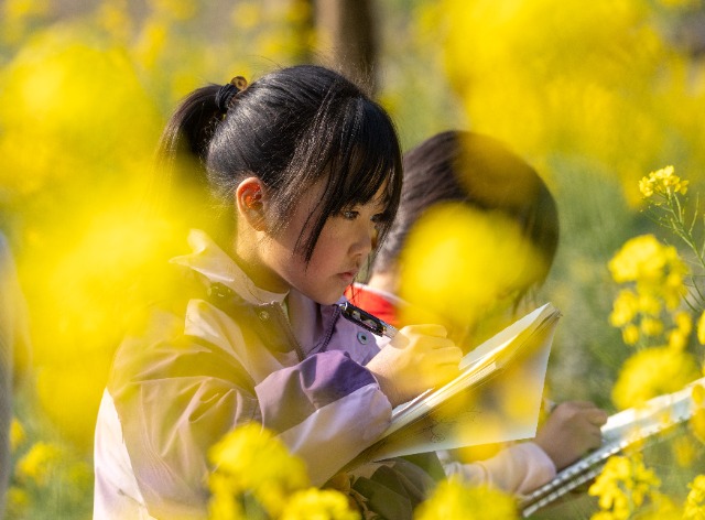 4、2026年3月12日，重庆市南川区金山镇小河坝社区油菜花田春意盎然，金山湖小学校的学生在金黄的油菜花田中写生。.jpg