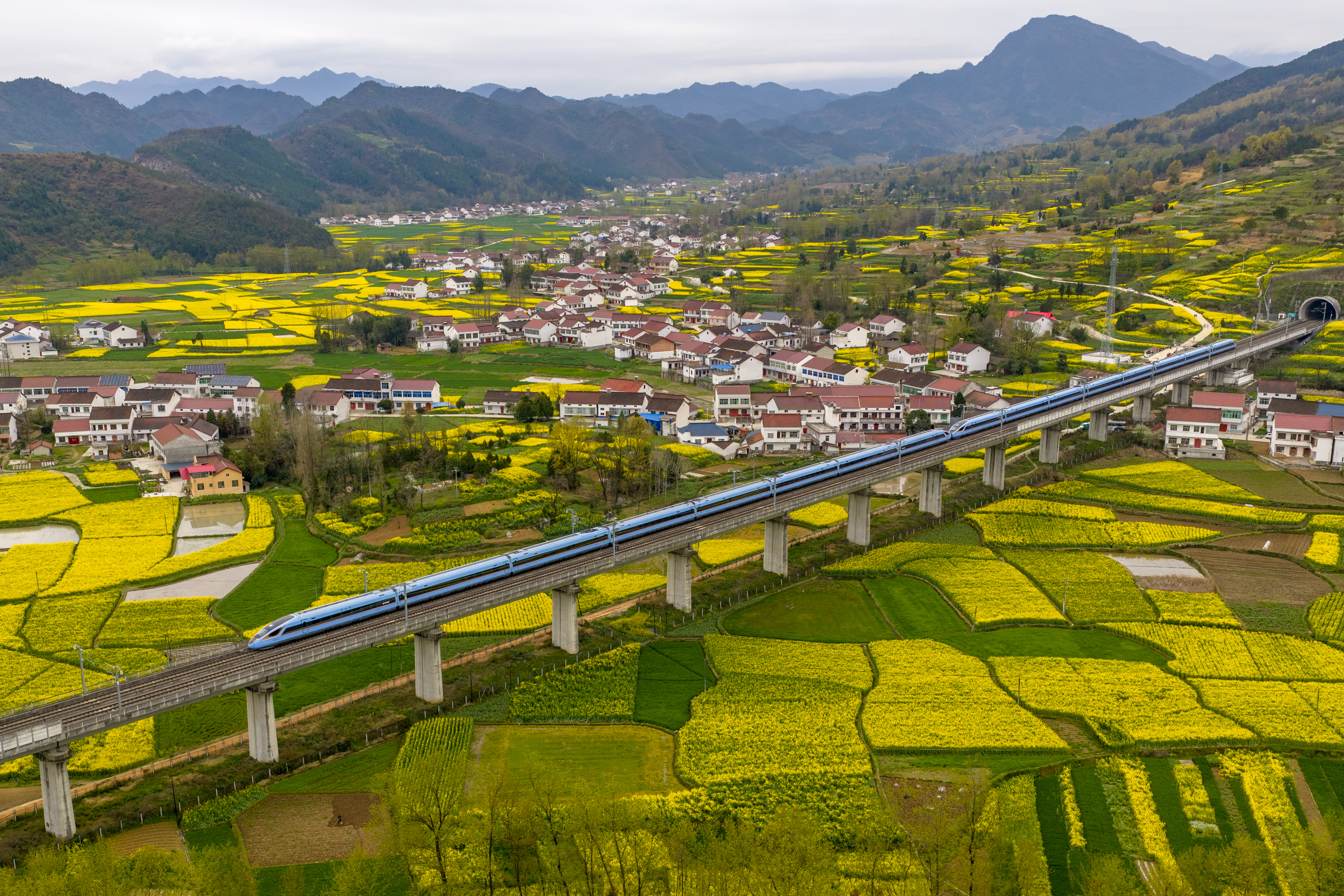 坐着高铁看中国  跟着民歌游汉中|西安铁路局深化铁旅融合助游客畅游汉中油菜花海