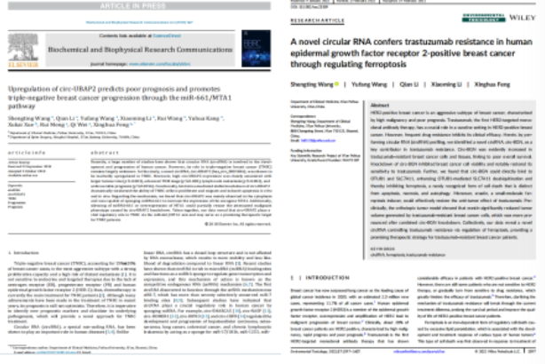 C477NVWQkmM7To2p.png image.png