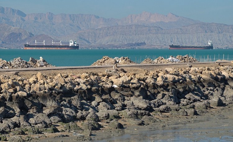 六国发表联合声明：准备采取措施保障霍尔木兹海峡安全