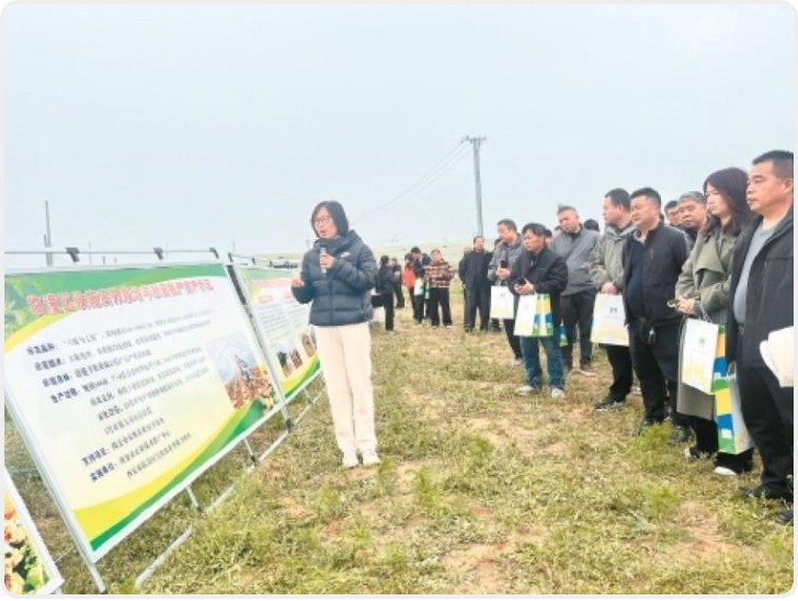 西安市举办羊肚菌栽培观摩培训活动  推动科技成果落地田间