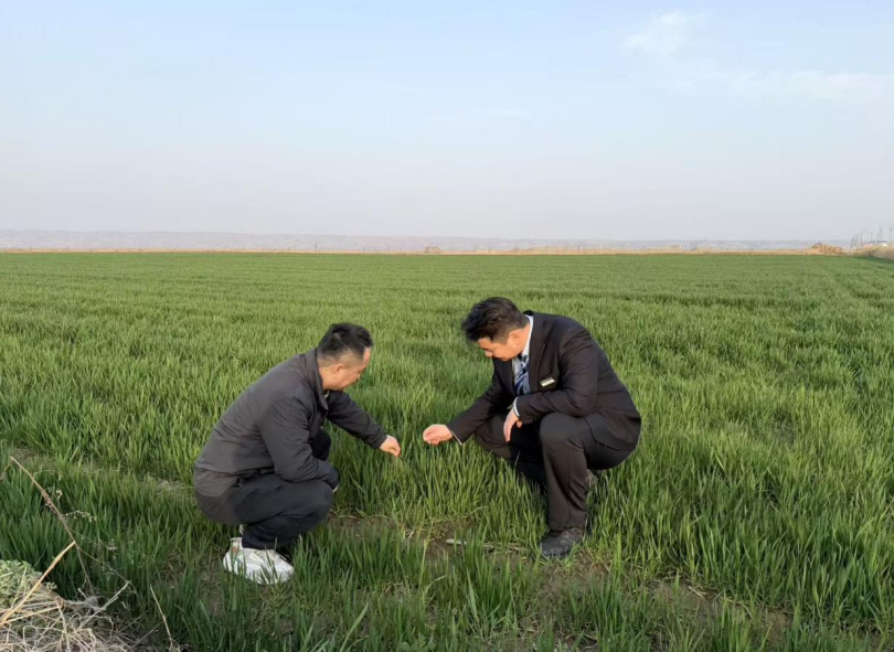 MZGmS9TPmURrXtJ7.png image.png