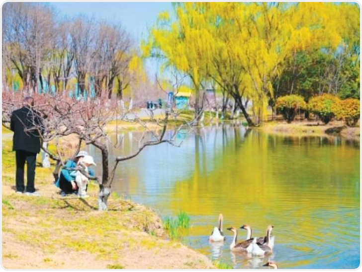 人鸟和谐！城市湿地公园“蓝天精灵”从20余种增至154种