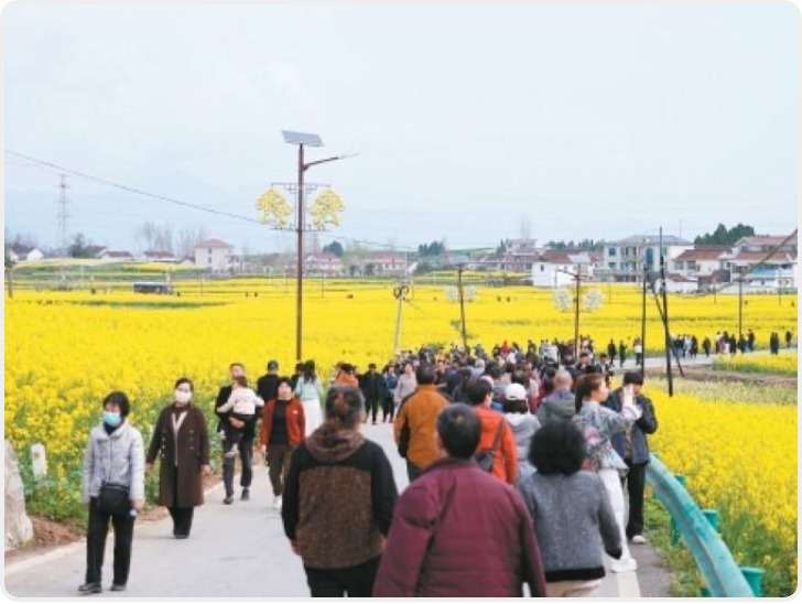 2026最美油菜花海汉中旅游文化节启幕