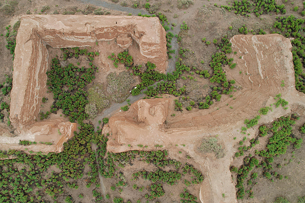 隋唐长安城布政坊遗址考古成果公布