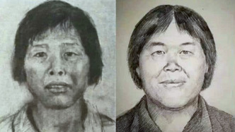 “梅姨案”时间线｜追踪23年 “隐身”人贩终现形