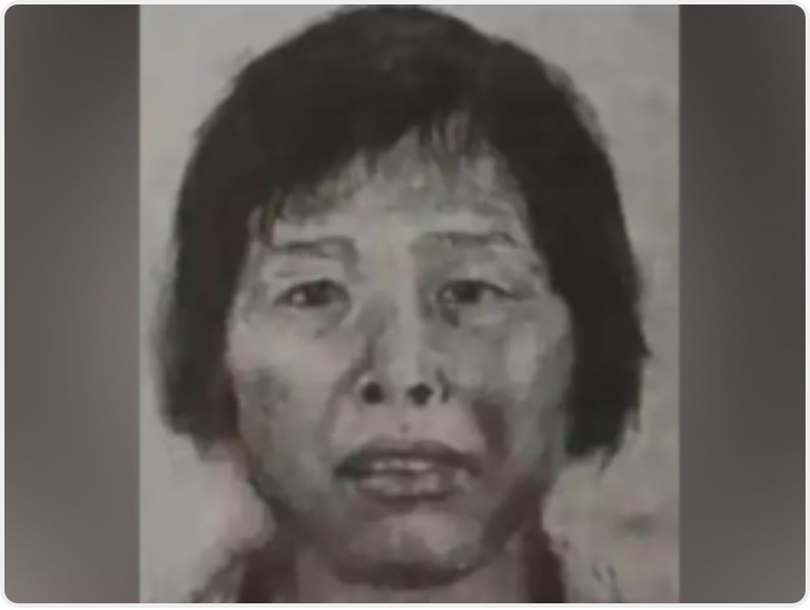 人贩子“梅姨”落网 为何多年难抓捕？